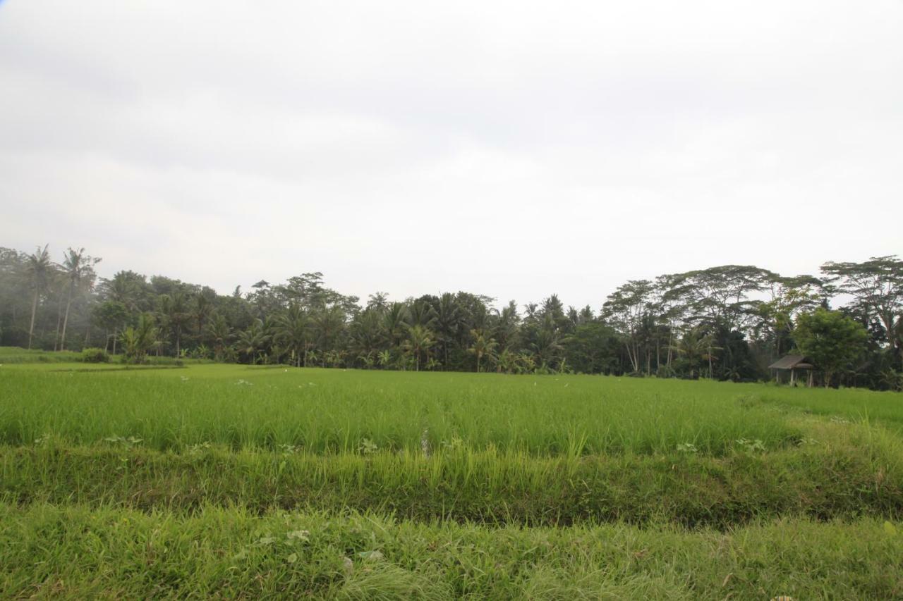 Pondok Gepokan Homestay 우붓 외부 사진