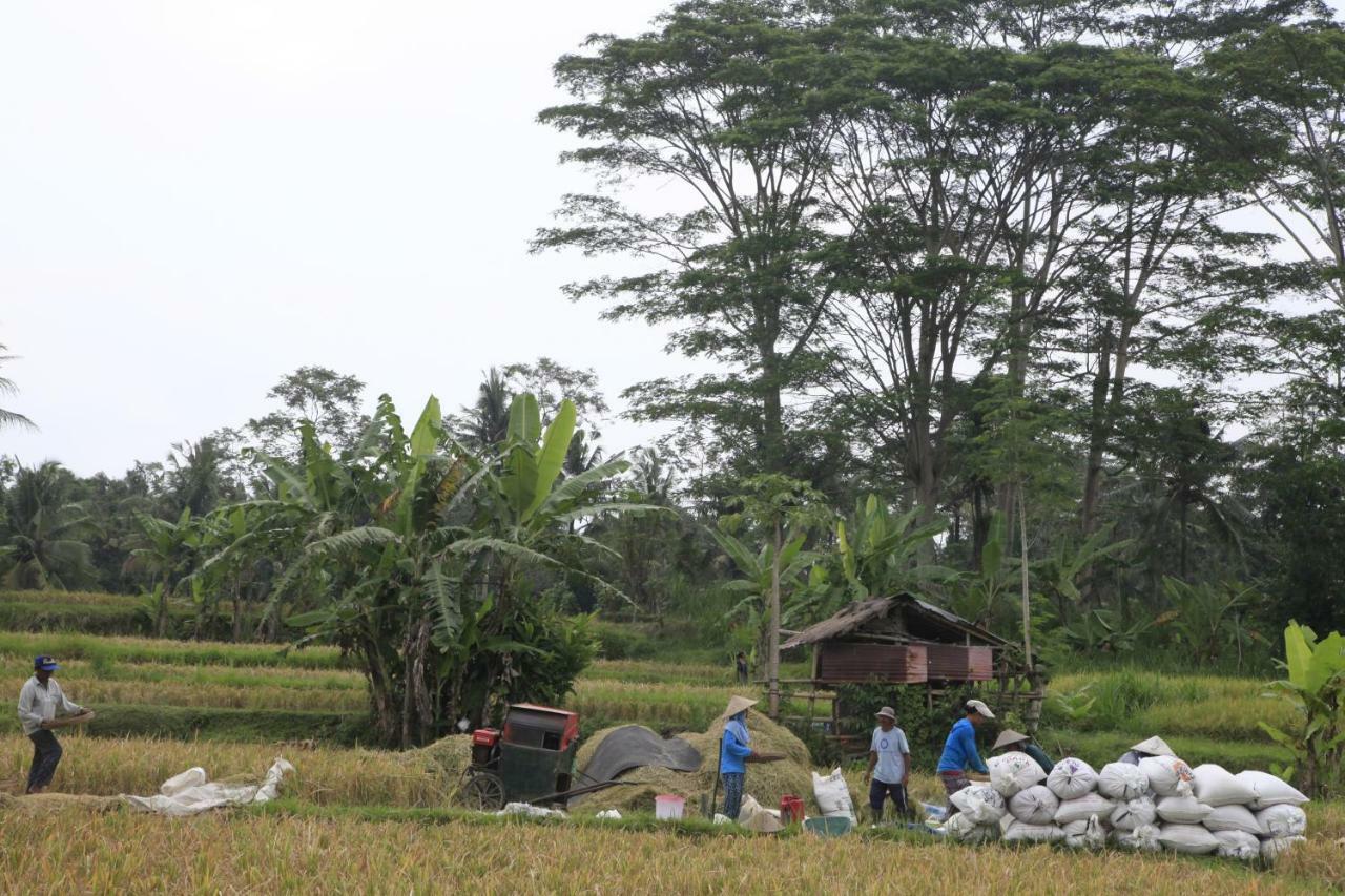 Pondok Gepokan Homestay 우붓 외부 사진