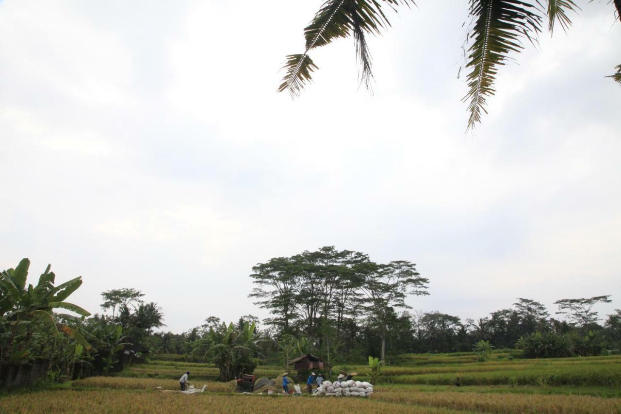 Pondok Gepokan Homestay 우붓 외부 사진